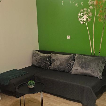 Zizi Apartman Debrecen Eksteriør billede
